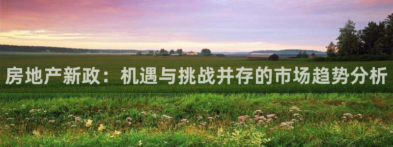 天狮娱乐招商36633：房地产新政：机遇与挑战并存的市场趋势