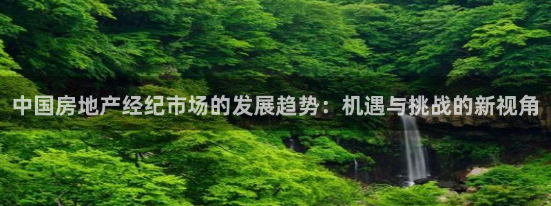 天狮娱乐招商扣：中国房地产经纪市场的发展趋势：机遇与挑战的新