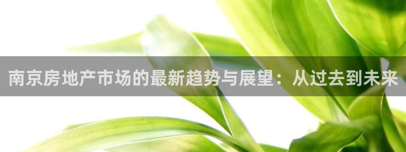 天狮娱乐- 0 招a商：南京房地产市场的最新趋势与展望：从过