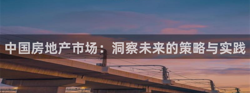 天狮娱乐购彩：中国房地产市场：洞察未来的策略与实践