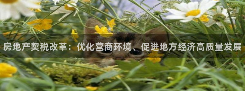 天狮娱乐招商80326：房地产契税改革：优化营商环境、促进地