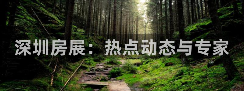 天狮娱乐 b运营67646：深圳房展：热点动态与专家