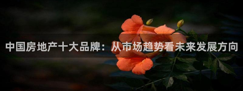 天狮娱乐p实 权：中国房地产十大品牌：从市场趋势看未来发展方