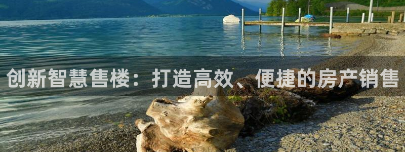 鸿图娱乐下载天狮：创新智慧售楼：打造高效、便捷的房产销售