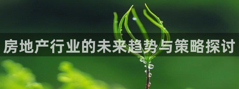 天狮娱乐湫33 300：房地产行业的未来趋势与策略探讨