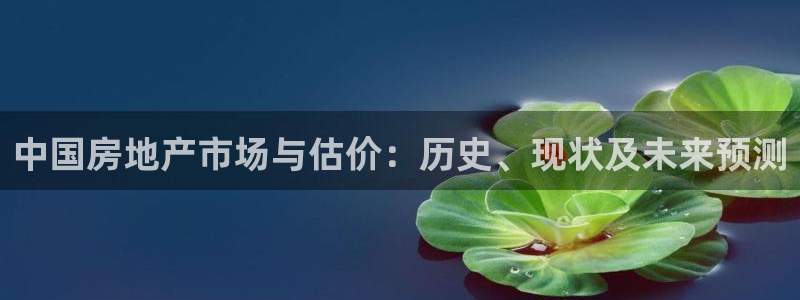 天狮娱乐彩票官网：中国房地产市场与估价：历史、现状及未来预测