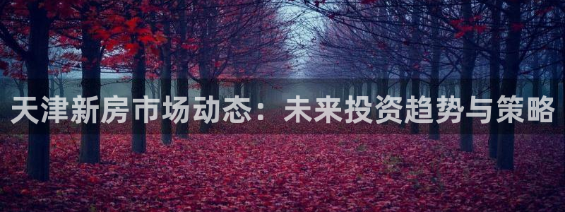 天狮娱乐主管q42862s：天津新房市场动态：未来投资趋势与