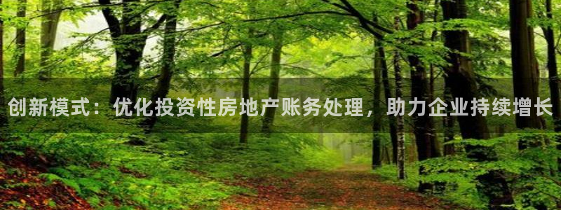 天狮娱乐会路吗：创新模式：优化投资性房地产账务处理，助力企业