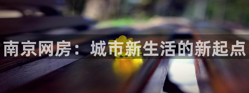 天狮娱乐 138注册：南京网房：城市新生活的新起点