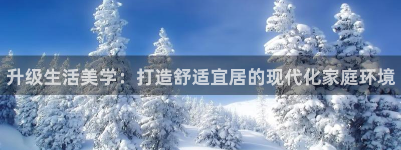 天狮娱乐扣扣29229：升级生活美学：打造舒适宜居的现代化家