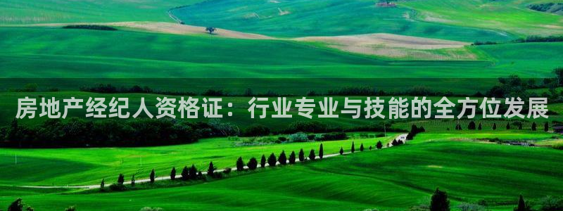 天狮娱乐注册官方网站：房地产经纪人资格证：行业专业与技能的全