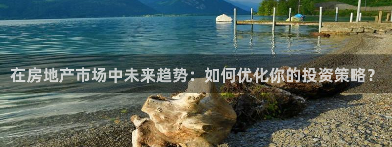 天狮娱乐 官方注册官网：在房地产市场中未来趋势：如何优化你的