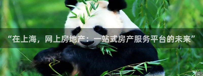 天狮娱乐b 判官是谁：“在上海，网上房地产：一站式房产服务平