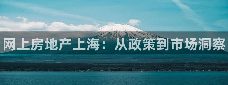 天狮娱乐815422：网上房地产上海：从政策到市场洞察