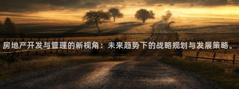 天狮娱乐学：房地产开发与管理的新视角：未来趋势下的战略规划与