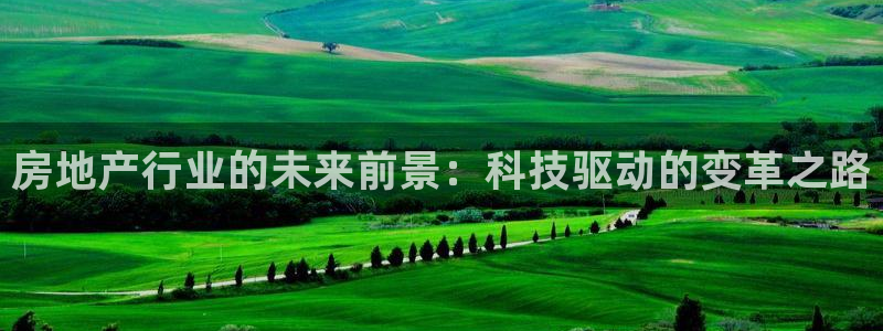 天狮娱乐¤股s东50015：房地产行业的未来前景：科技驱动的