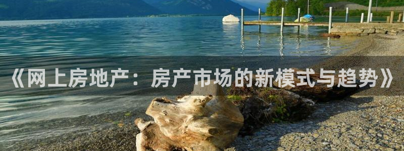 天狮娱乐能赚钱吗：《网上房地产：房产市场的新模式与趋势》