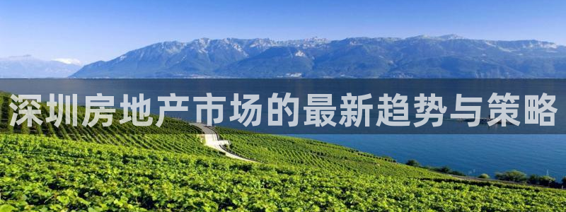 天狮娱乐平台是哪里的：深圳房地产市场的最新趋势与策略