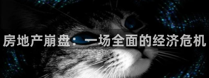 天狮娱乐主管招商：房地产崩盘：一场全面的经济危机