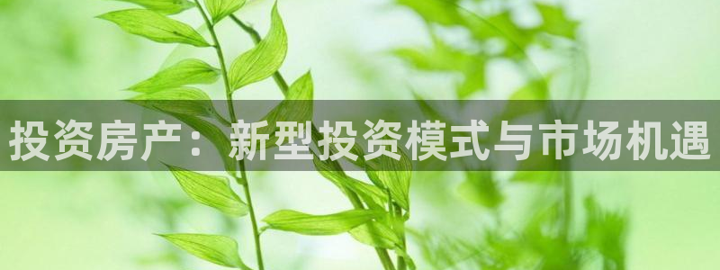 天狮娱乐代理最高多少钱：投资房产：新型投资模式与市场机遇