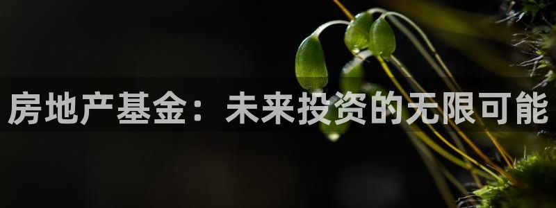 天狮平台娱乐：房地产基金：未来投资的无限可能