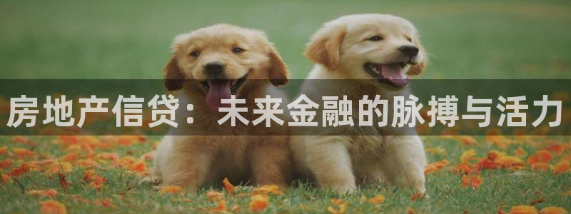 天狮学院娱乐设施有哪些：房地产信贷：未来金融的脉搏与活力