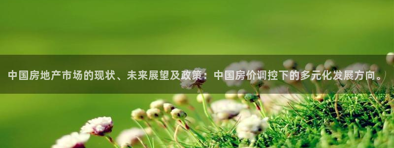 天狮娱乐815422：中国房地产市场的现状、未来展望及政策：