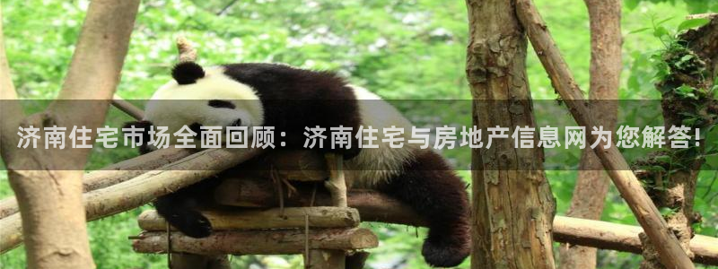 天狮娱乐 卧j主管60447：济南住宅市场全面回顾：济南住宅