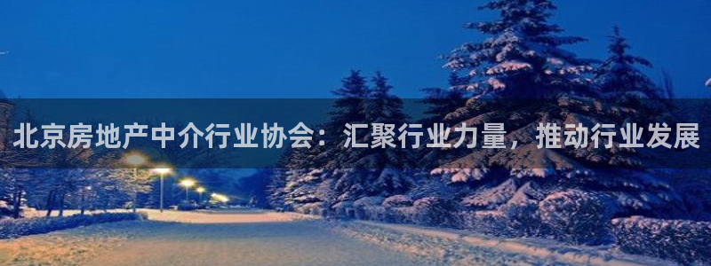 天狮娱乐怎样下载：北京房地产中介行业协会：汇聚行业力量，推动