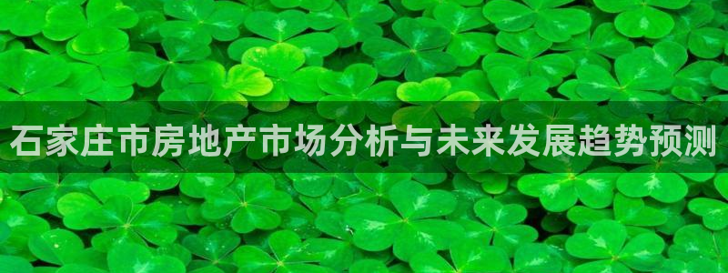 天狮娱乐彩票官网