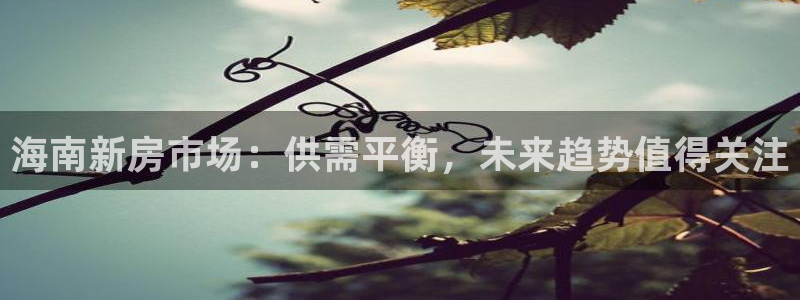 天狮娱乐84374 巅峰h