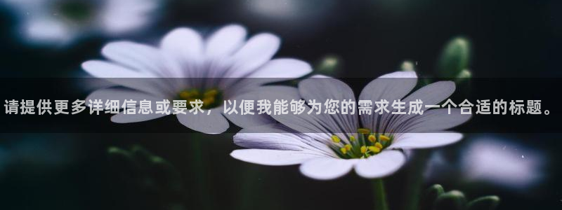 天狮娱乐招商：请提供更多详细信息或要求，以便我能够为您的需求