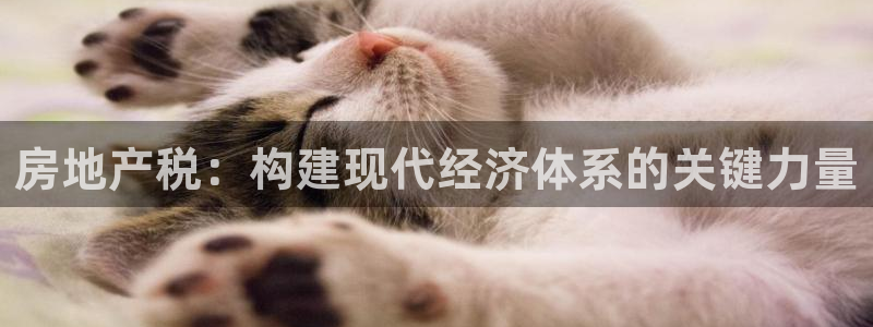 天狮娱乐代理最高多少钱：房地产税：构建现代经济体系的关键力量