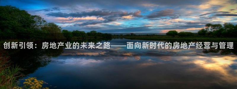 天狮娱乐湫333 00：创新引领：房地产业的未来之路——面向