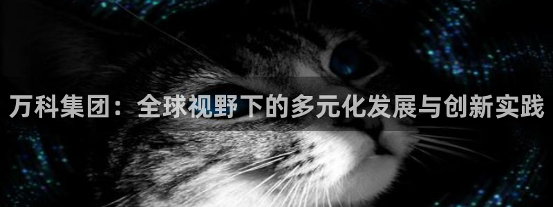 天狮娱乐是黑平台吗：万科集团：全球视野下的多元化发展与创新实