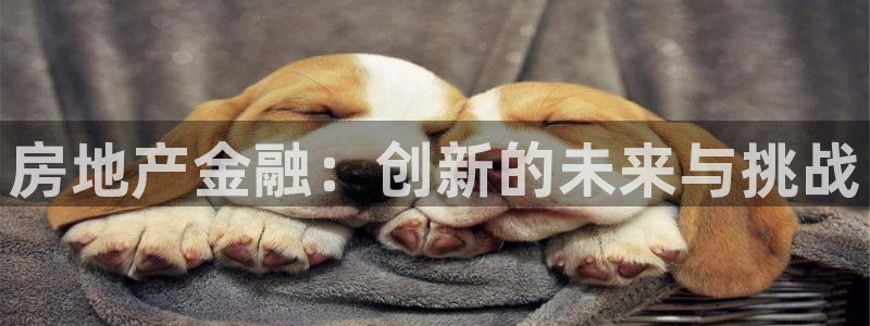 天狮娱乐¤股s东50015：房地产金融：创新的未来与挑战