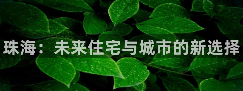 天狮娱乐b OO判官：珠海：未来住宅与城市的新选择