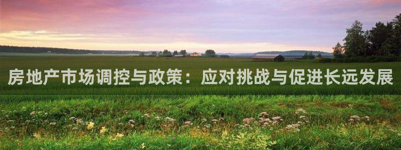 天狮娱乐股东招商：房地产市场调控与政策：应对挑战与促进长远发