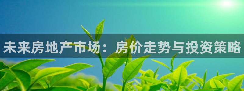 天狮娱乐c OO判官：未来房地产市场：房价走势与投资策略
