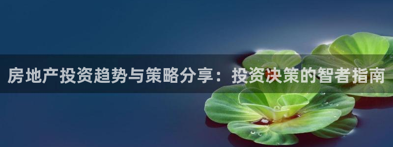 天狮娱乐縕不稳当：房地产投资趋势与策略分享：投资决策的智者指