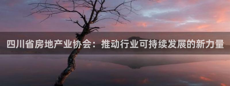 天狮娱乐方：四川省房地产业协会：推动行业可持续发展的新力量