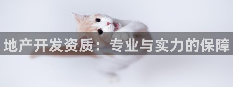 天狮娱乐违法行为：地产开发资质：专业与实力的保障