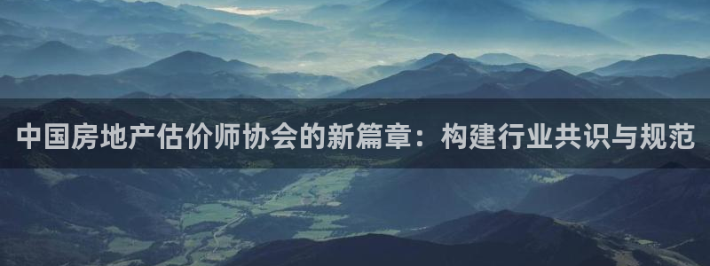 天狮娱乐36633股东：中国房地产估价师协会的新篇章：构建行