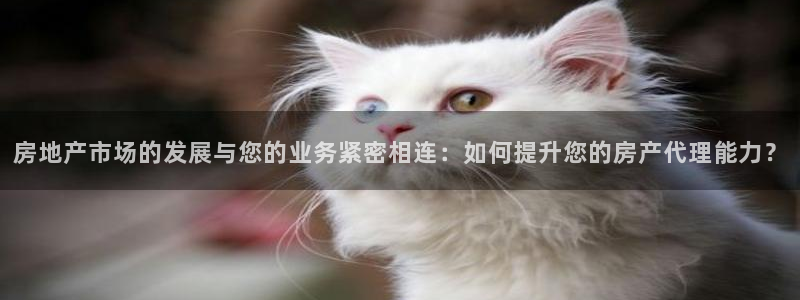 天狮娱乐 股31661东r：房地产市场的发展与您的业务紧密相