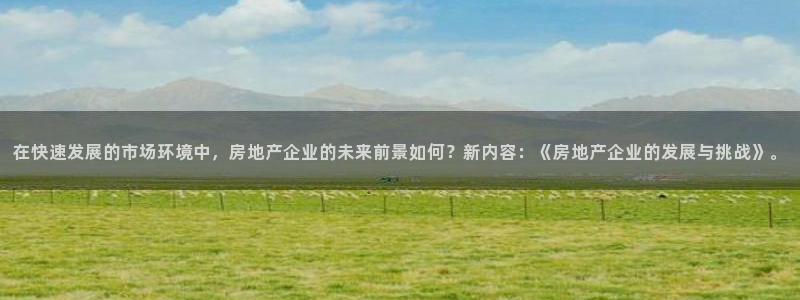 天狮娱乐36633股东：在快速发展的市场环境中，房地产企业的