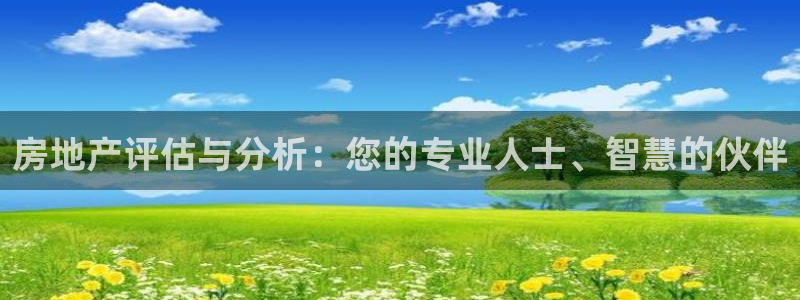 天狮娱乐q聊_99399天神_：房地产评估与分析：您的专业人