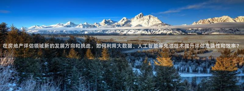 天狮娱乐f 判官：在房地产评估领域新的发展方向和挑战，如何利