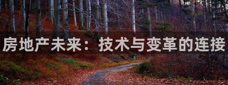 天狮娱乐注册：房地产未来：技术与变革的连接