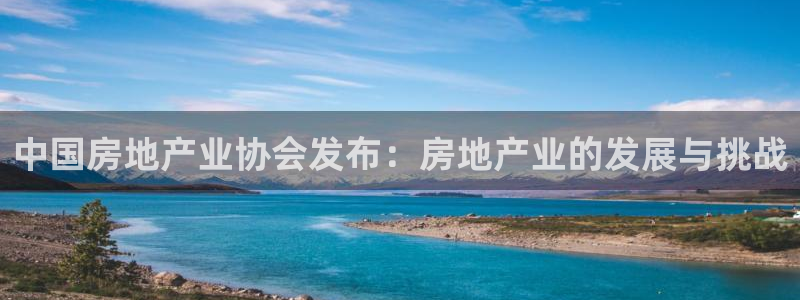 天狮娱乐注册71009：中国房地产业协会发布：房地产业的发展