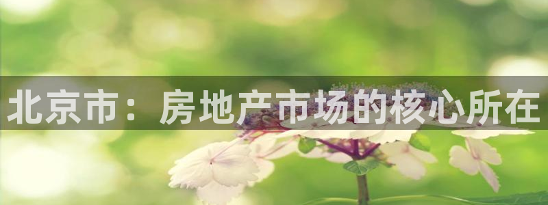 天狮娱乐行：北京市：房地产市场的核心所在